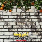 آجر سفید دکوراتیو قیمت