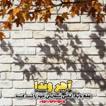 آجر دکوراتیو سفید
