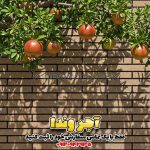 آجر شاموتی