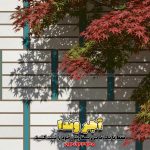 آجر سفید نسوز